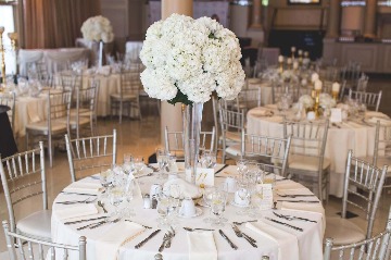 Wedding Reception