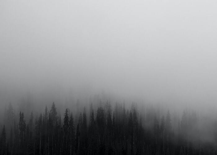 fog