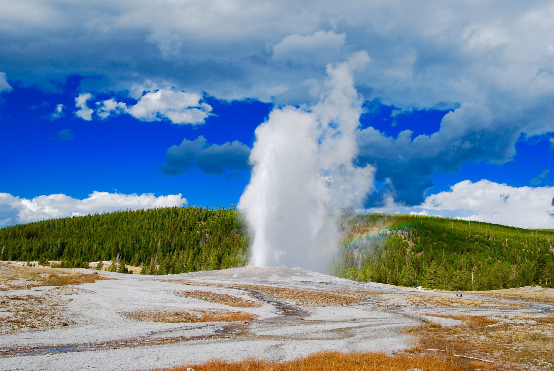 Geyser