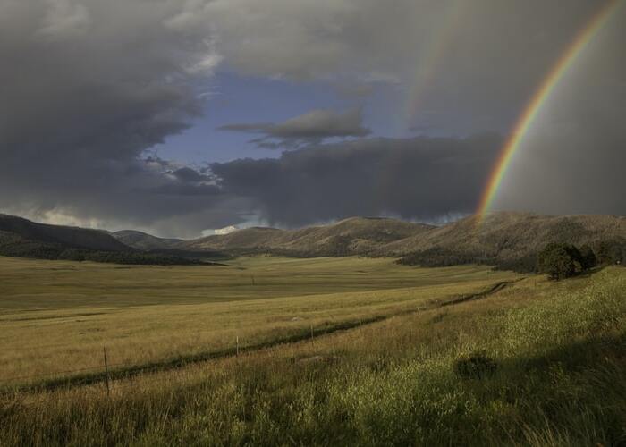rainbow
